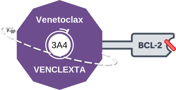 Venetoclax ballicule — decagon diagram of its receptor and enzyme targets