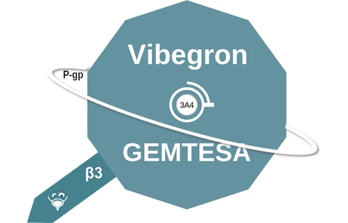 Vibegron ballicule — decagon diagram of its receptor and enzyme targets