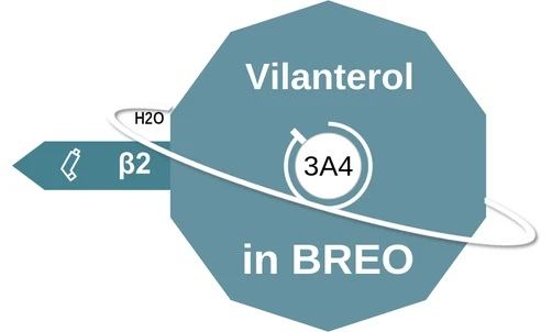 Vilanterol ballicule — decagon diagram of its receptor and enzyme targets
