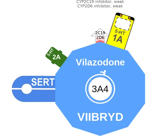 Vilazodone ballicule — decagon diagram of its receptor and enzyme targets