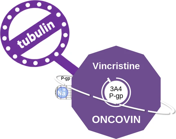 Vincristine ballicule — decagon diagram of its receptor and enzyme targets