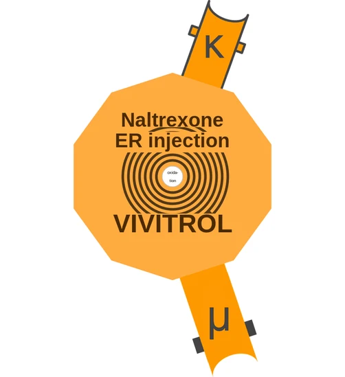 Naltrexone ER injection ballicule — decagon diagram of its receptor and enzyme targets