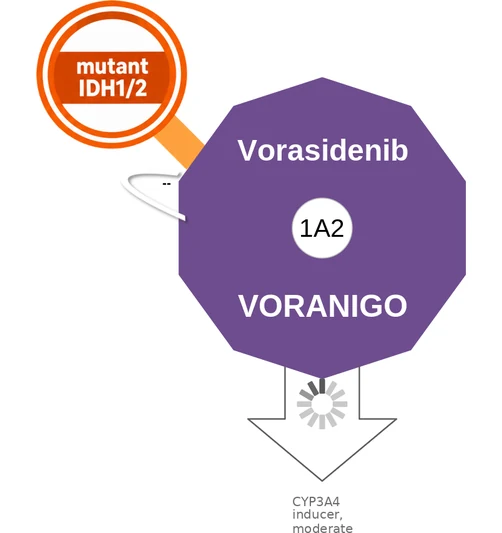 Vorasidenib ballicule — decagon diagram of its receptor and enzyme targets