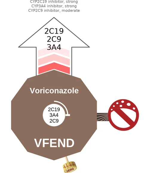 Voriconazole ballicule — decagon diagram of its receptor and enzyme targets