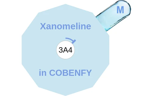 Xanomeline ballicule — decagon diagram of its receptor and enzyme targets