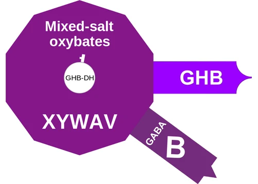 Mixed-salt oxybates ballicule — decagon diagram of its receptor and enzyme targets