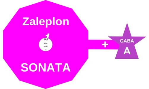 Zaleplon ballicule — decagon diagram of its receptor and enzyme targets