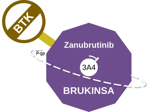 Zanubrutinib ballicule — decagon diagram of its receptor and enzyme targets