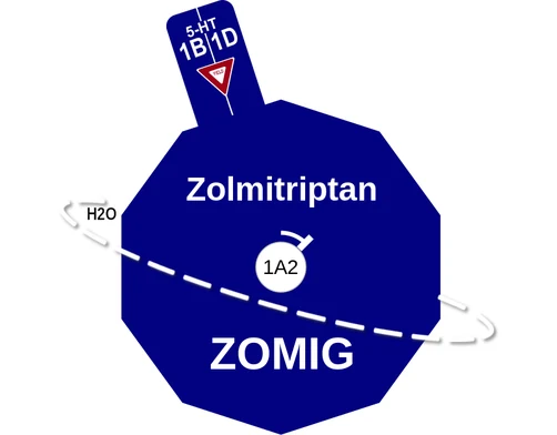Zolmitriptan ballicule — decagon diagram of its receptor and enzyme targets
