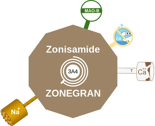 Zonisamide ballicule — decagon diagram of its receptor and enzyme targets